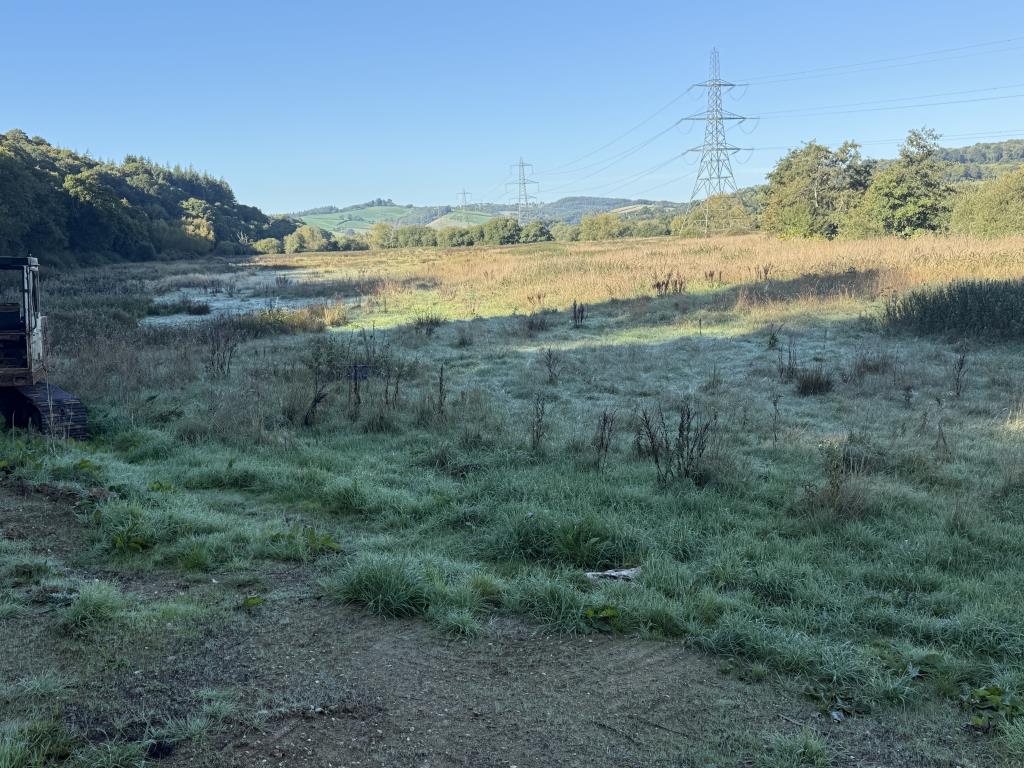 Lot: 22 - RIVER MEADOW PASTURE ADJOINING THE RIVER EXE WITH ROAD ACCESS - View of the river pasture